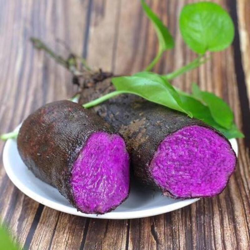 赣南紫山药现挖脚板薯毛暑大薯正宗紫玉淮山新鲜铁棍山药农家蔬菜