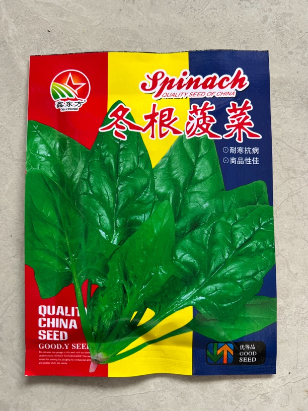 冬根菠菜种子20克 （拍一发二）叶片肥厚