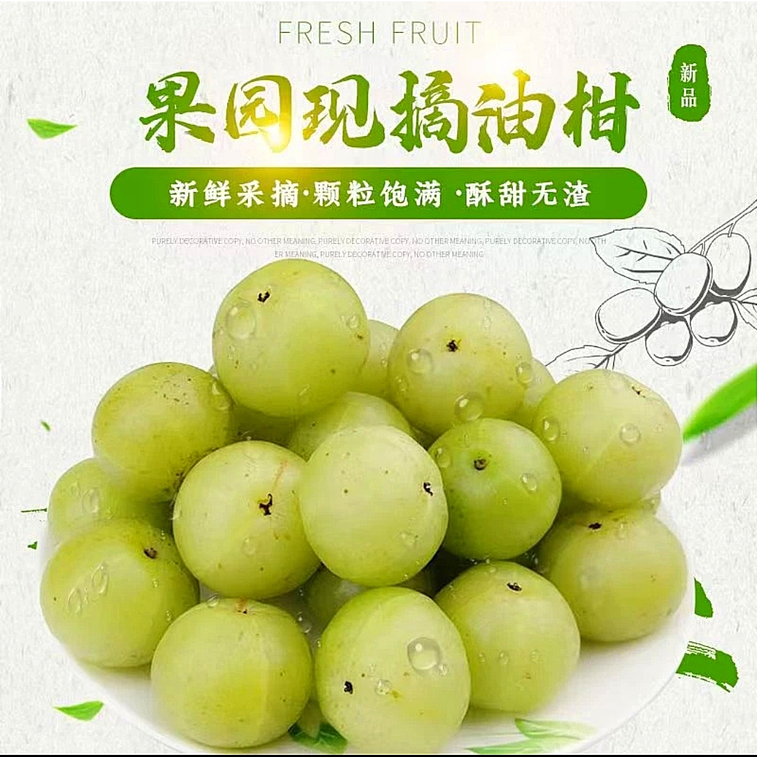 潮汕特产甜种鲜果生吃水果榨汁甘甜油甘滇橄榄余甘子现摘一斤装