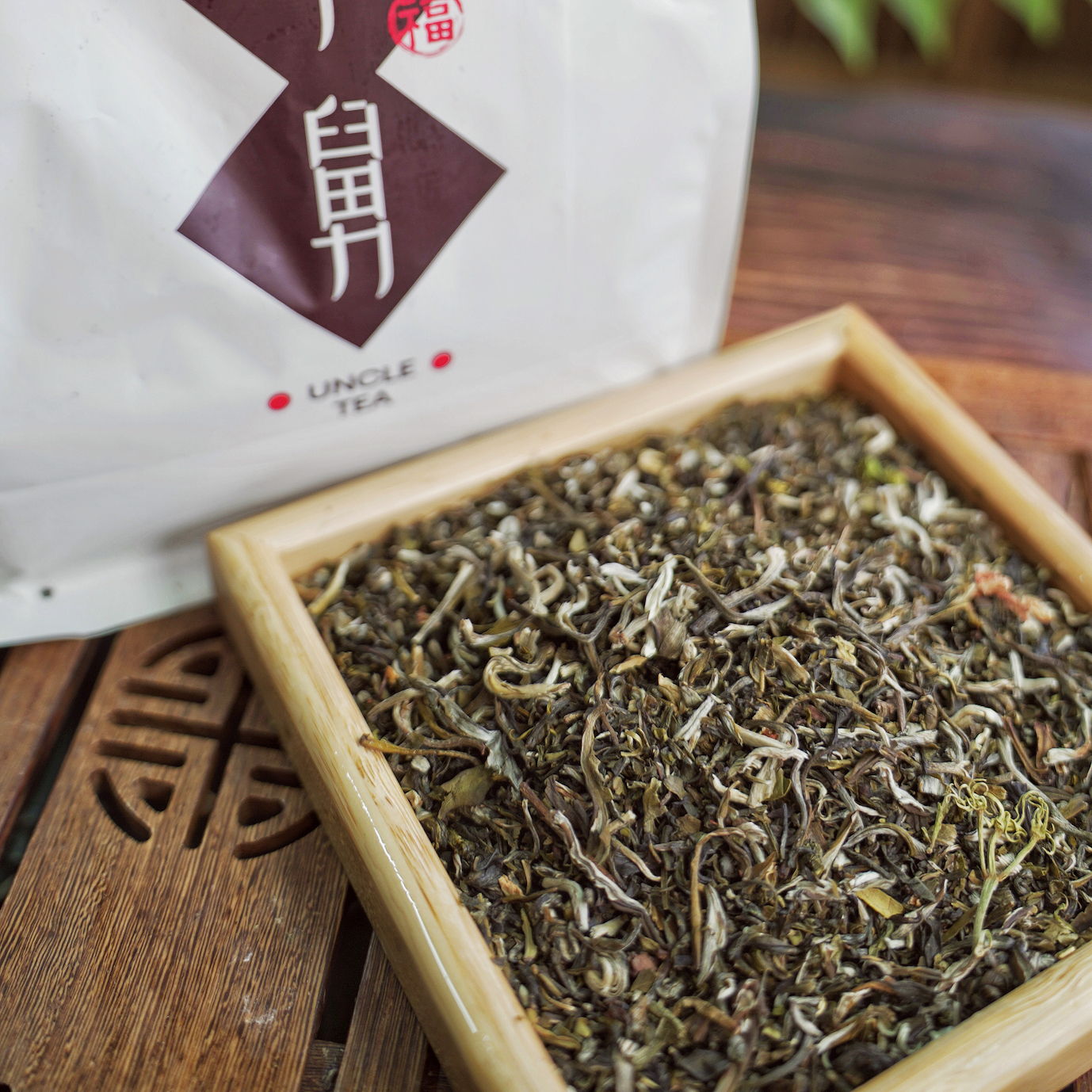 茶小舅【芽王螺芯碎】传统天津老味茉莉花茶2025新茶早春茶老北京