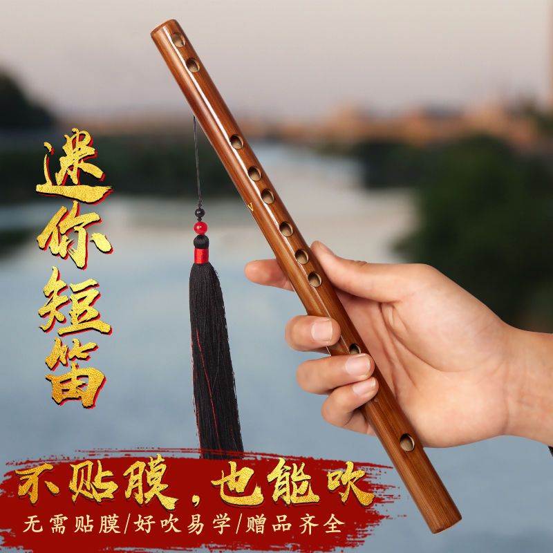 迷你短笛竹笛初学零基础学生g调f入门笛子儿童成人乐器随身小笛子