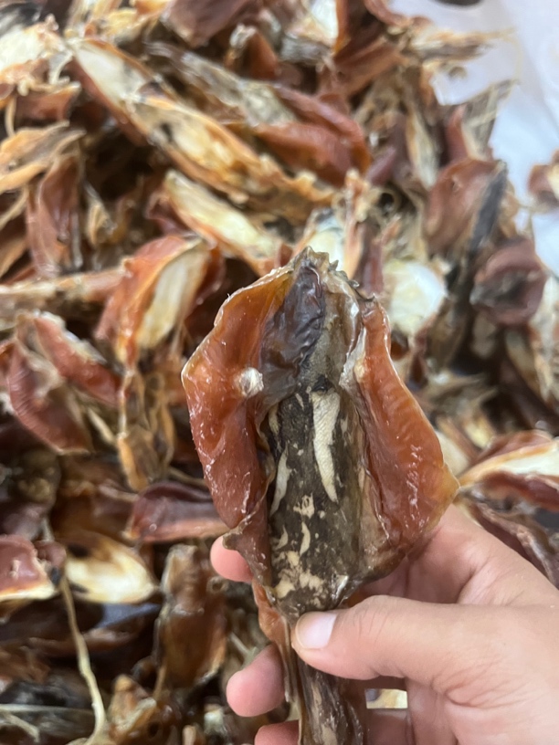 北海船晒血墨鱼干无盐风干
