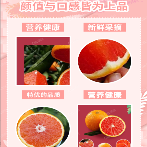 湖北中华红血橙新鲜现摘现发应季时鲜水果手剥阳光红心带箱10斤