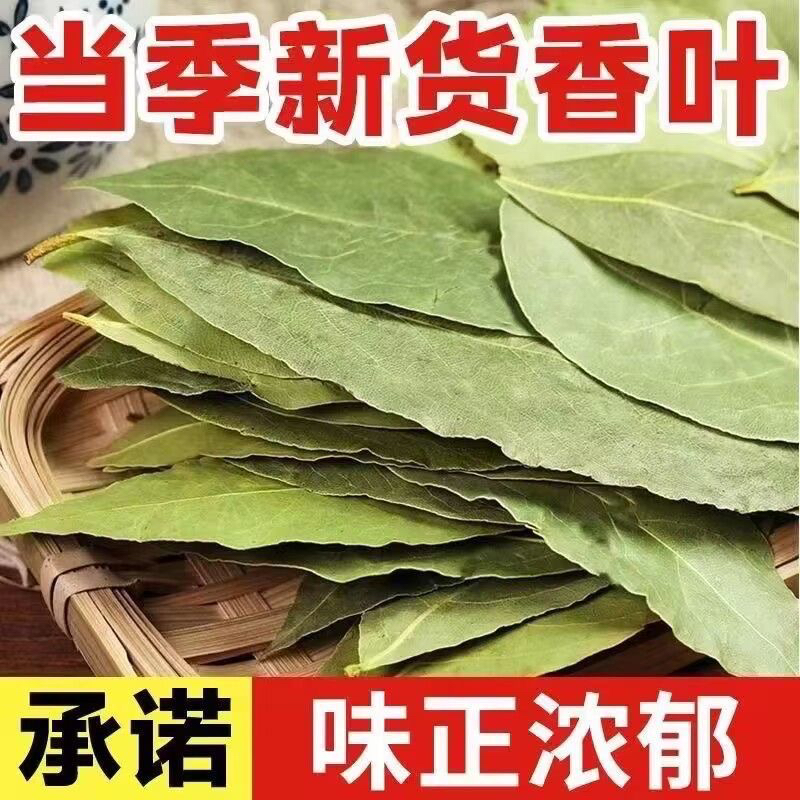 正宗广西头茬新货香叶桂皮八角调味品卤料炖肉料炒菜调料香叶批发