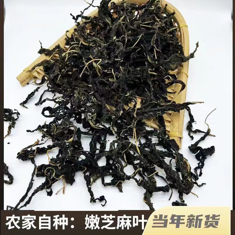 新货干芝麻叶农家晒制脱水干菜安徽阜阳芝麻叶嫩叶新鲜晒干