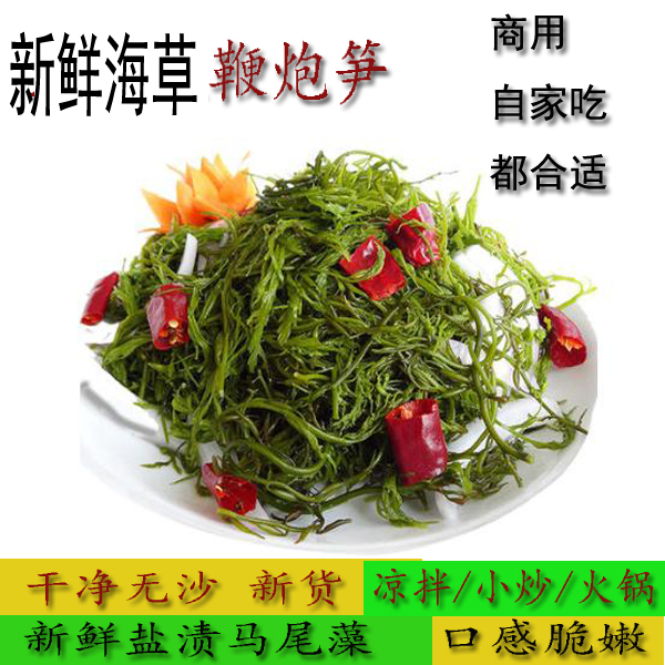 马尾藻新鲜盐渍海锅藻凤尾菜羊栖菜长寿菜爽脆鞭炮笋海草三斤鲜嫩