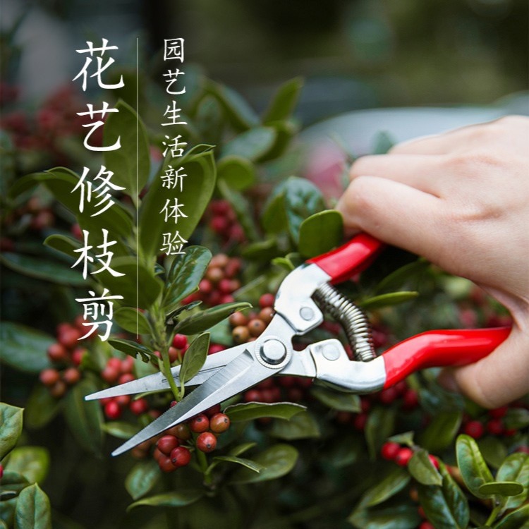 智创园艺剪修枝剪枝园林盆景修花剪子果蔬剪叶芽树剪剪剪刀家用