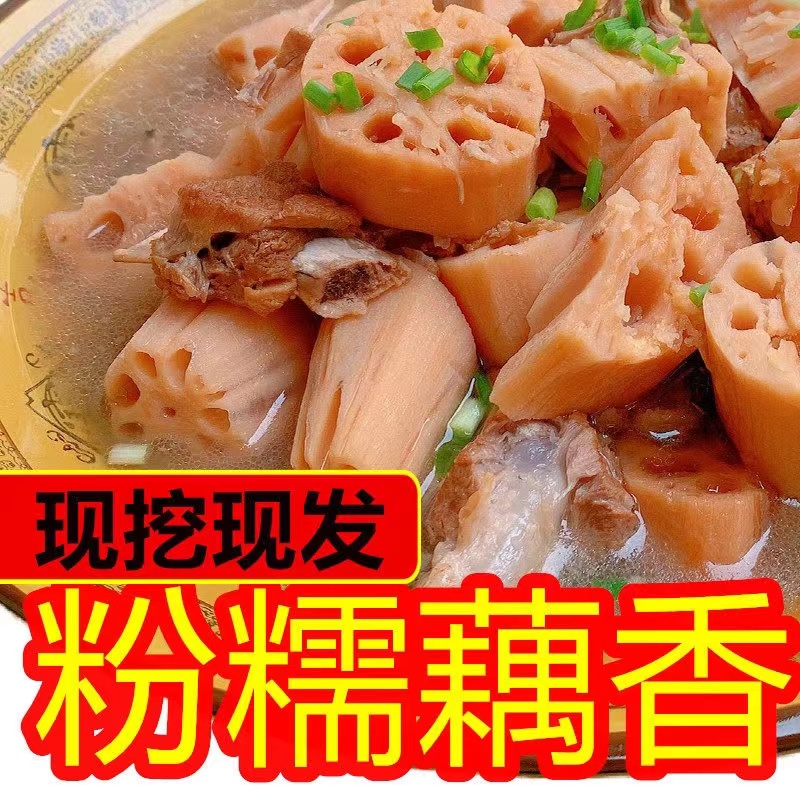 沙湖老家粉藕  煲汤 易粉 易糯 现挖现发 3斤 5斤包邮