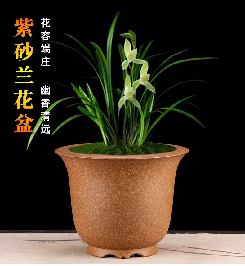 当代 宜兴林家紫砂兰花君子兰盆景专用花盆{新款金钟}