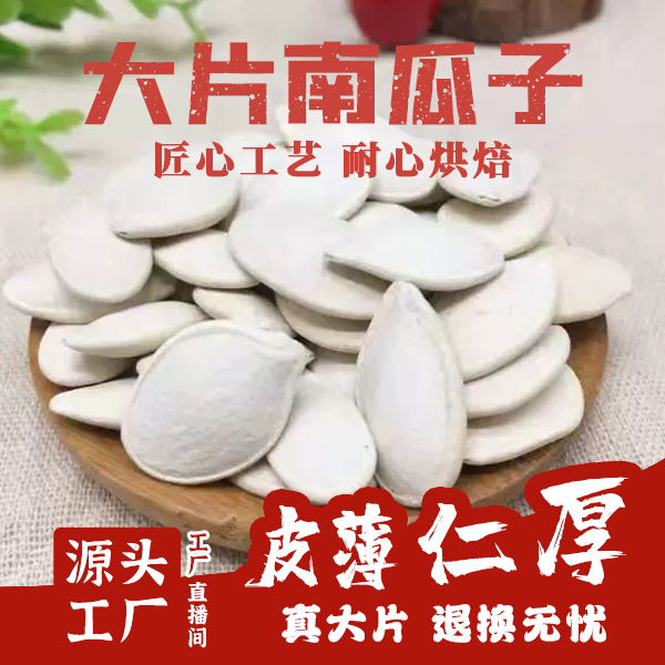 大片白南瓜子咸香味袋装大颗粒大瓜子零食坚果炒货喝茶瓜子工厂店