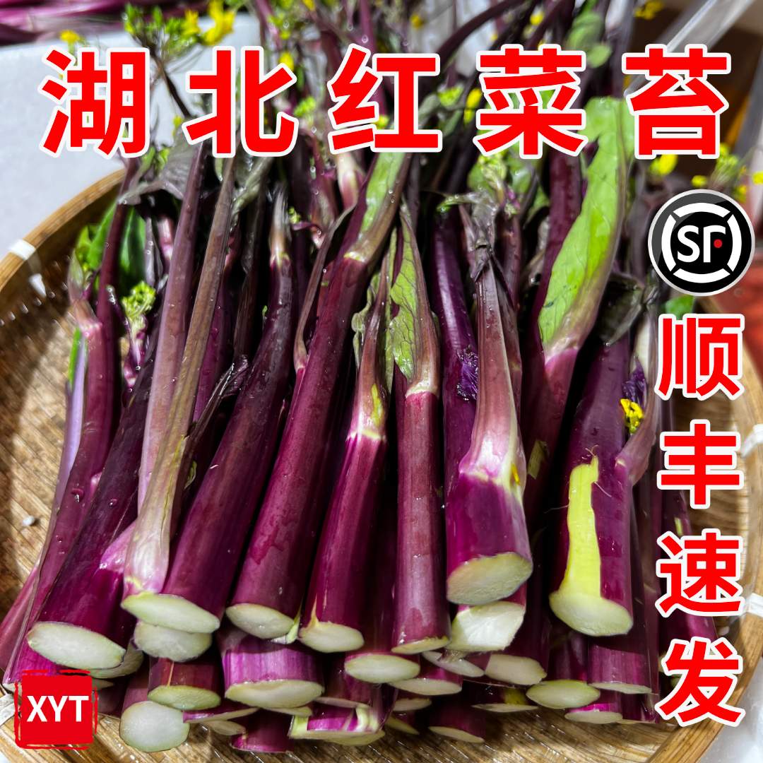 【顺丰速发】湖北红菜苔洪山菜苔紫菜苔粗壮苔菜薹青菜新鲜火锅蔬菜