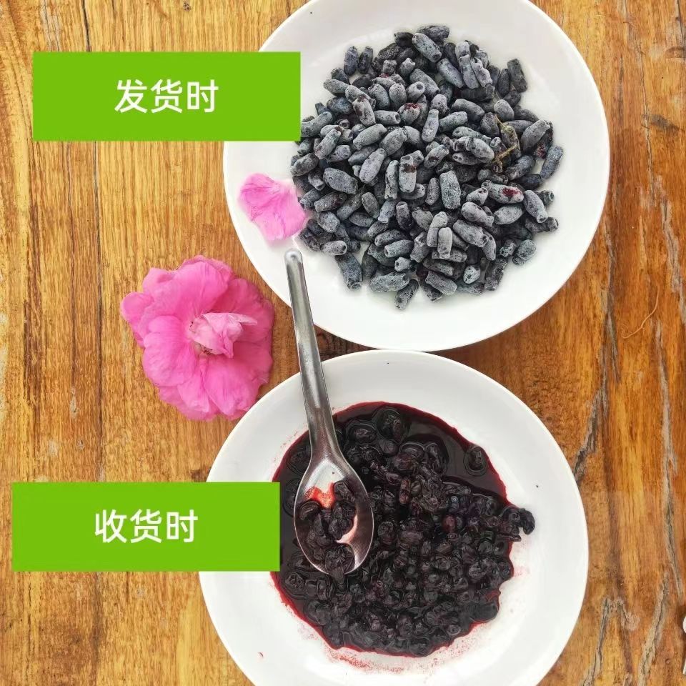 (顺丰包邮)大兴安岭蓝靛果羊奶果野果新鲜速冻免洗拌糖吃熬果酱