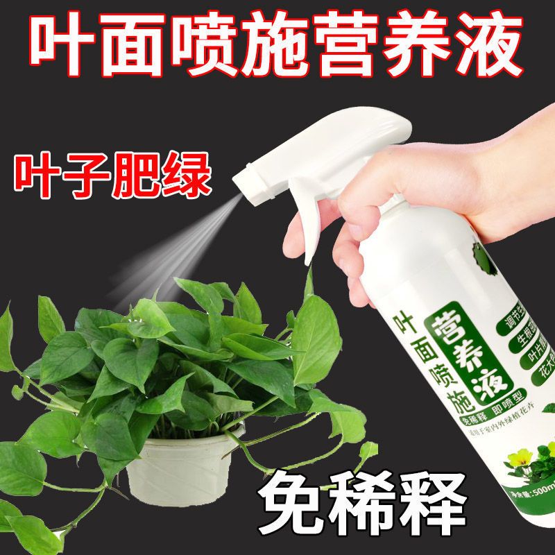 植物营养液通用养花家用花卉祛黄叶除干尖叶面喷施肥叶面肥通用型