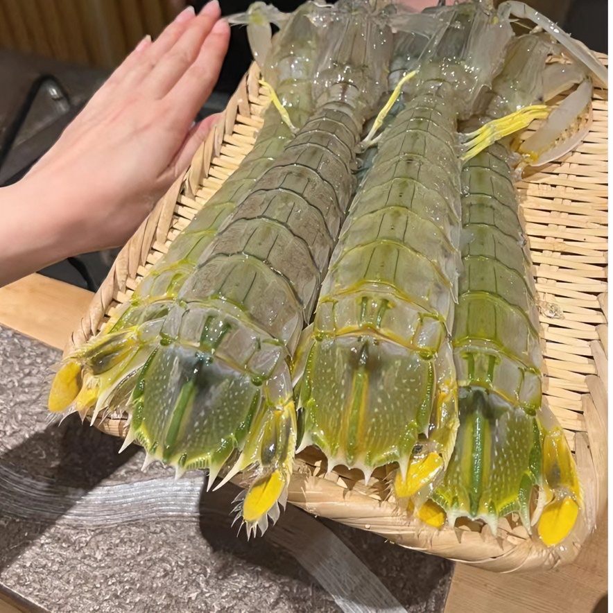 鲜活发货   富贵虾  3只装顺丰空运包邮（包鲜不包活）