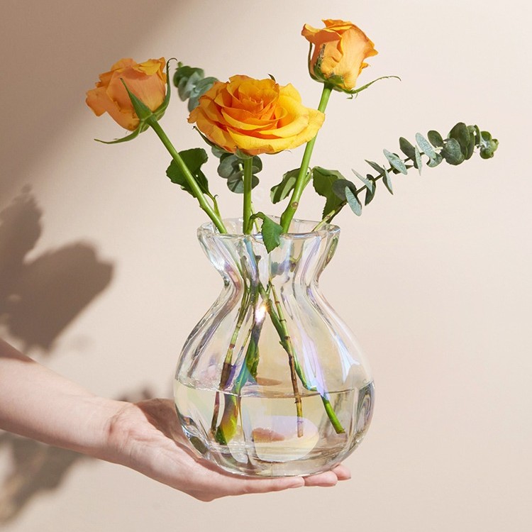网红福袋花瓶创意摆件客厅简约北欧ins风透明插花花瓶水培鲜花瓶