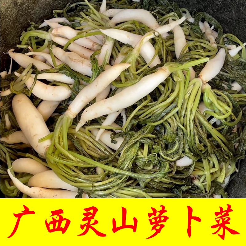 灵山特色好吃萝卜菜萝卜苗萝卜尾农家腌制下饭菜酸萝卜涮火锅食材