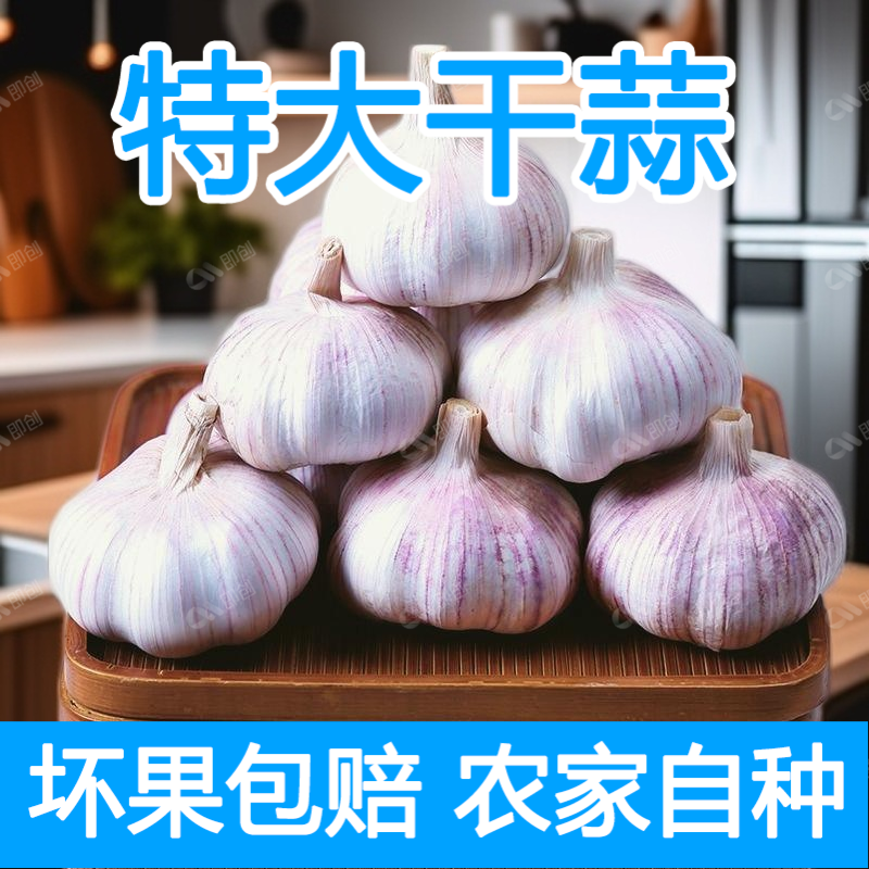 2025新干大蒜紫白皮特大干大蒜农家蒜头炒菜5斤9斤可种辛辣