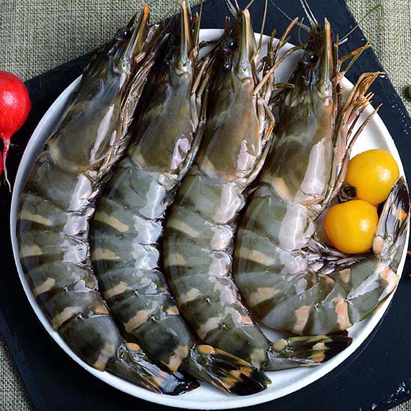 3斤黑虎虾15-17公分海虾老虎虾带冰保鲜活虾速动10-13只/斤W