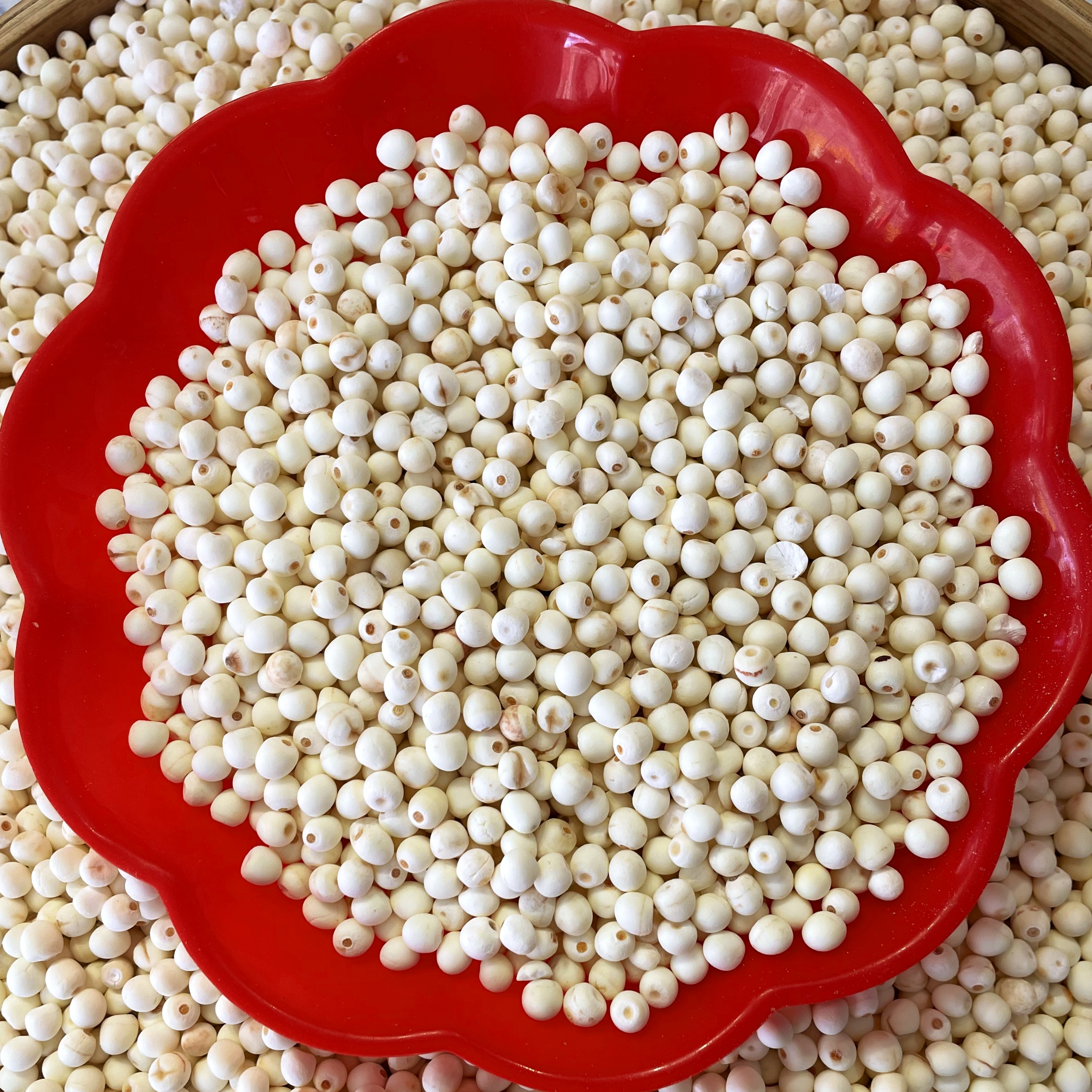 ［磨皮芡实干货］煮粥煲汤材料包无硫