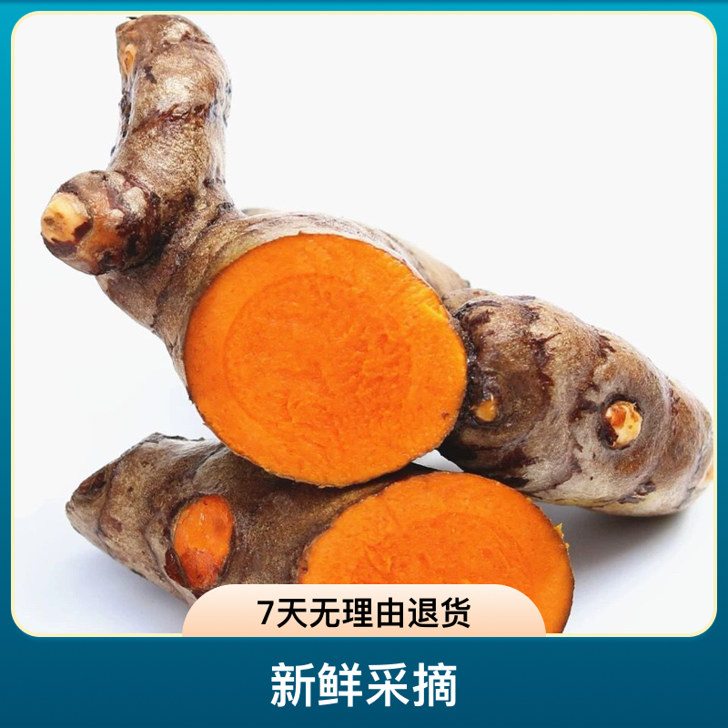 小姜黄广西小黄姜野生1斤-5斤现挖现发正宗新鲜姜黄生姜鲜选五斤