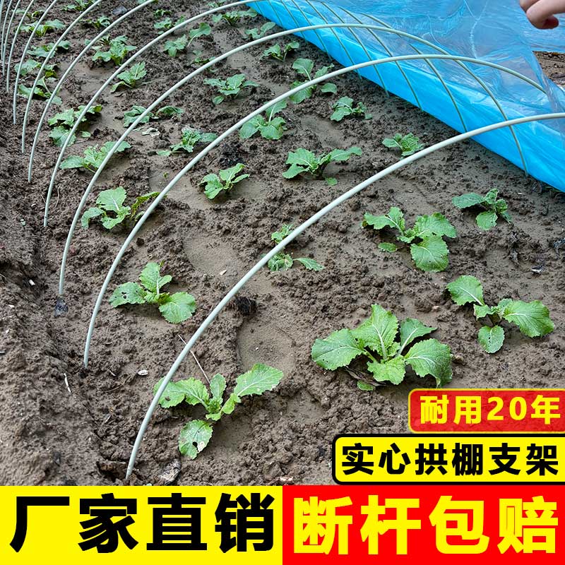 大棚支架拱杆家用菜棚拱棚支架玻璃纤维菜园小拱棚蔬菜大棚骨架