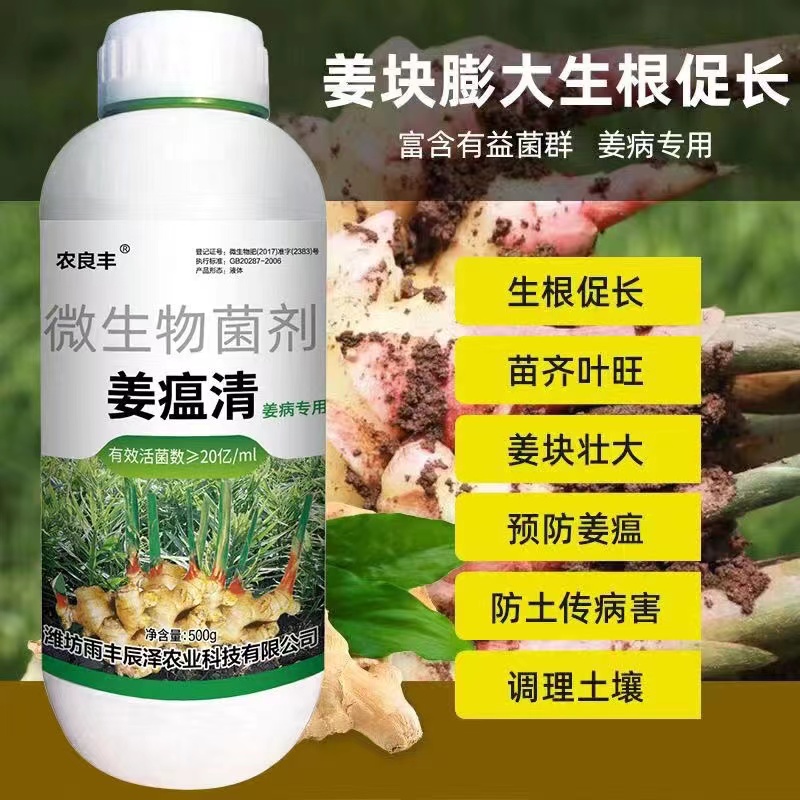 姜瘟清微生物菌剂烂脖子杀菌剂姜瘟清剂生姜专用药大姜根腐黄叶