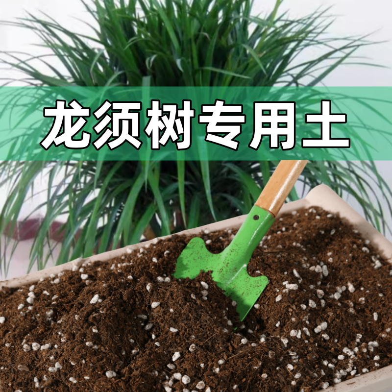 龙须树专用营养土龙血树专用土养花种花土通用种植土酸性土壤肥料