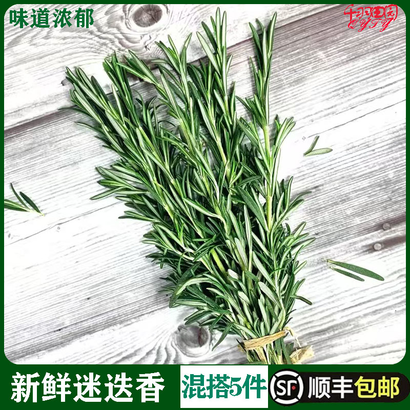 新鲜迷迭香牛排用食用香料西餐调味烘焙蛋糕装饰摆盘花草迷失香