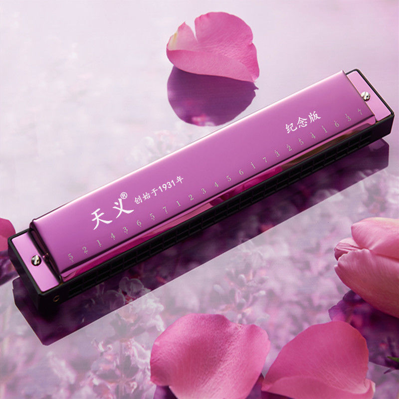 天义口琴24孔复音c调初学者成人儿童零基础自学新手入门演奏级