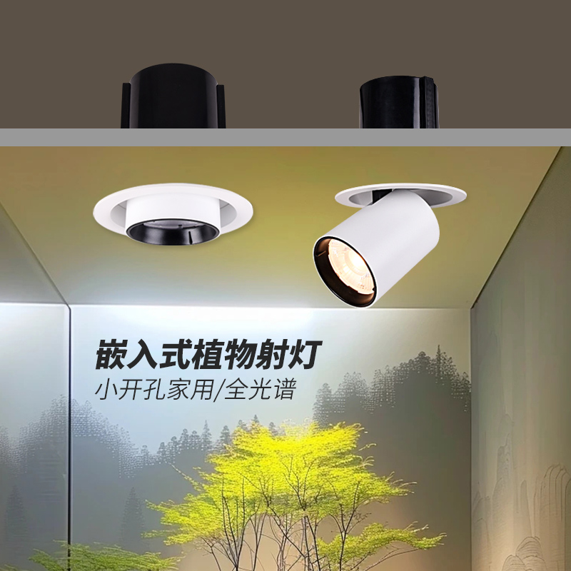 光联天下嵌入式植物补光射灯室内盆栽绿植鹿角蕨生长灯客厅家用