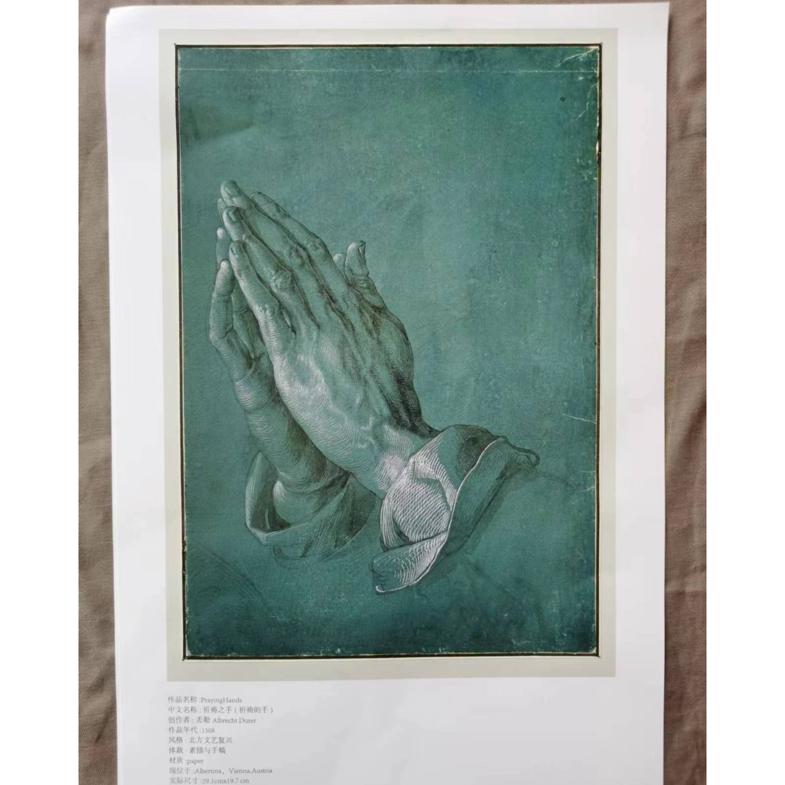 原大丢勒素描2张加于小冬速写与素描8张 （高37厘米宽26厘米）原大