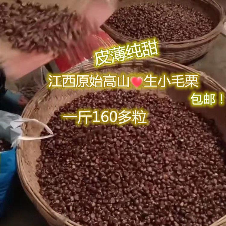 2025江西深高山纯甜新鲜毛栗子小板栗中小油栗土板圆栗子包邮皮薄