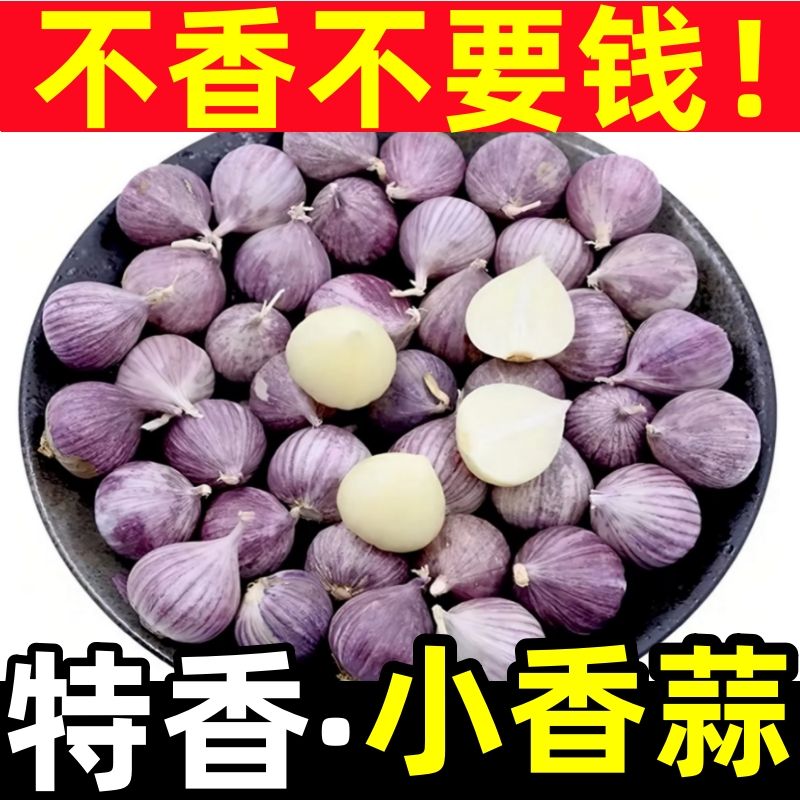 正宗云南紫皮独头蒜农家爆香小香蒜大蒜头干蒜独蒜批发腊八蒜包邮