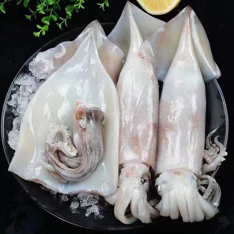 去皮-去内脏-去眼睛 大鱿鱼 5斤/份 每份3-5条 单条包装