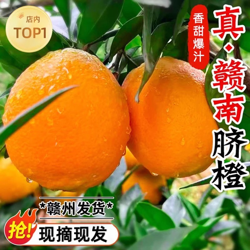 20斤 江西赣南脐橙新鲜水果多汁甜美橙子当季现摘