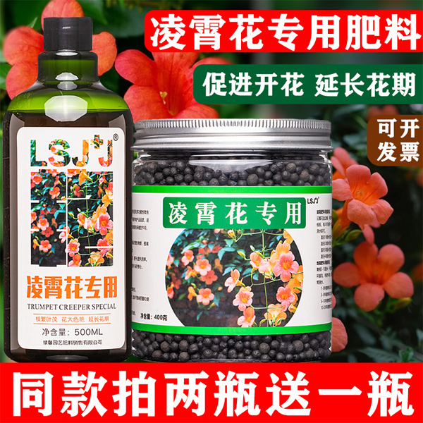 凌霄花专用肥紫葳肥料五爪龙绿叶倒挂金钟营养液上树龙有机肥藤萝