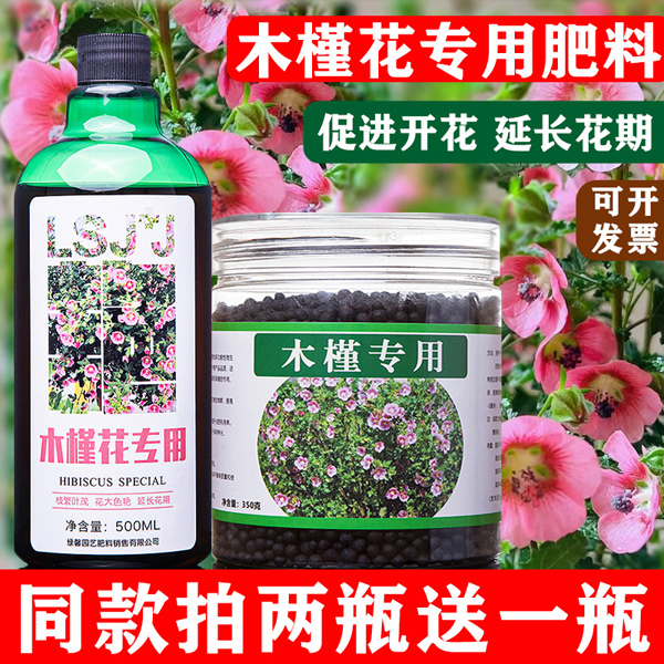 木槿专用肥木槿花肥料朱槿有机肥颗粒肥促花苞营养液营养养料缓释