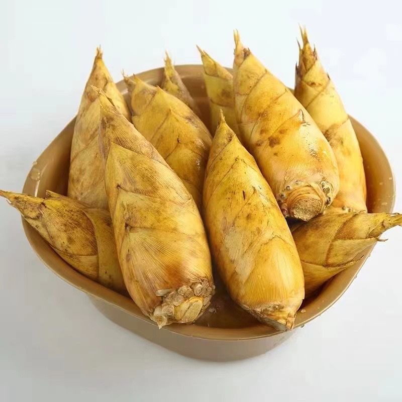 2025新鲜冬笋现挖现发高山黄泥笋楠竹笋毛竹笋新鲜笋子带壳冬笋子