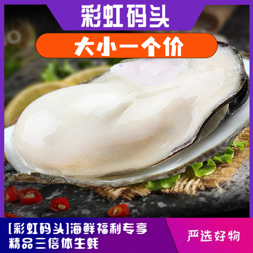 鲜活生蚝 买5斤送5斤 渔民直供 包肥包活 现捞现发牡蛎鲜活