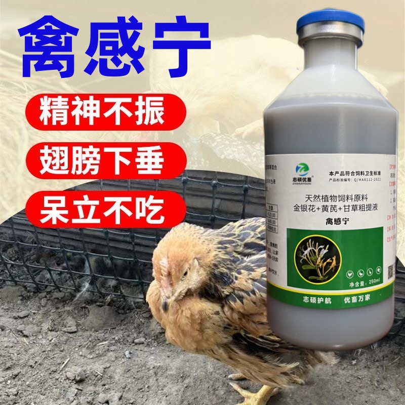 禽感宁鸡鸭鹅鸽闭眼呼噜呆立缩头不精神拉黄白粪便养鸡专用添加剂