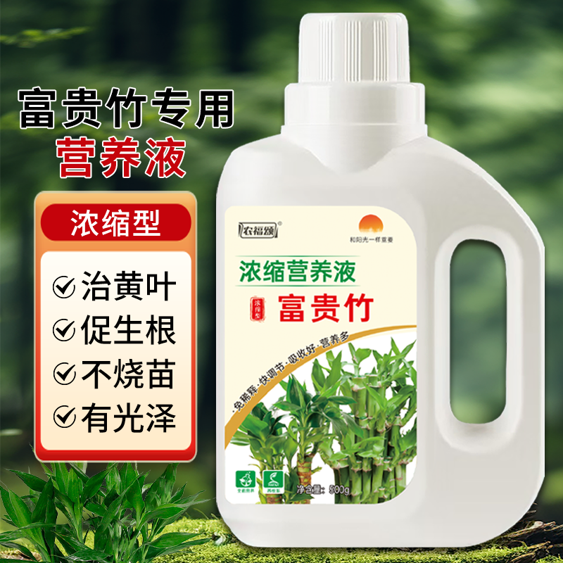 富贵竹专用营养液发财竹观音竹水培植物铜钱草绿植盆栽养花肥料