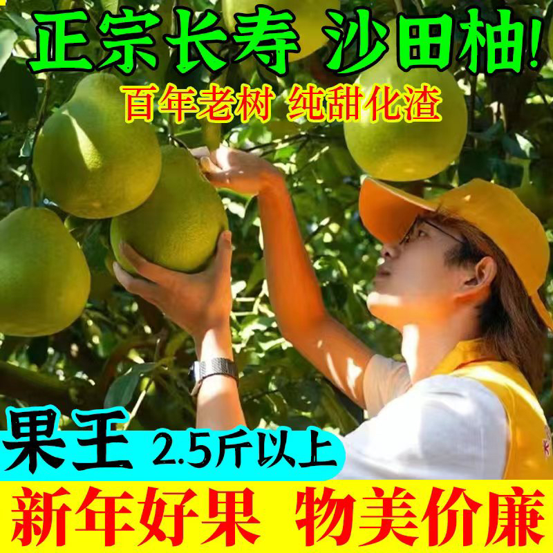 正宗重庆长寿沙田柚子邻封精选老树特级超甜大果当季新鲜现摘包邮