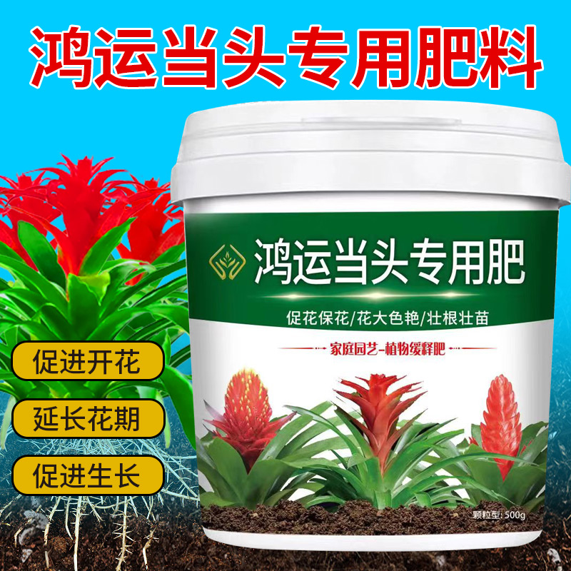鸿运当头专用肥促进生长壮苗缓释颗粒有机肥补充氮磷钾均衡营养肥