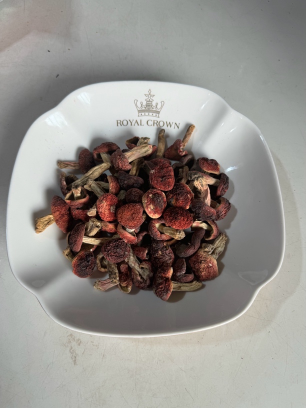 高山红菇正红菇特级小标菇，营养丰富口感鲜甜抖店热卖