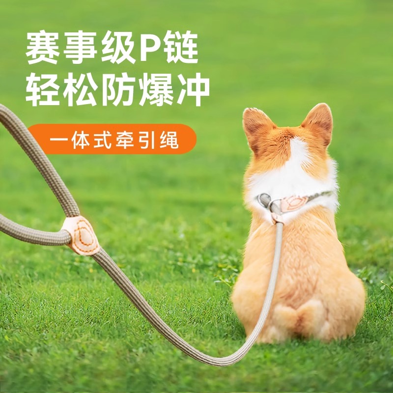 狗狗牵引绳防爆冲遛狗训狗绳尼龙P链P绳小中大型犬加粗遛狗牵引绳
