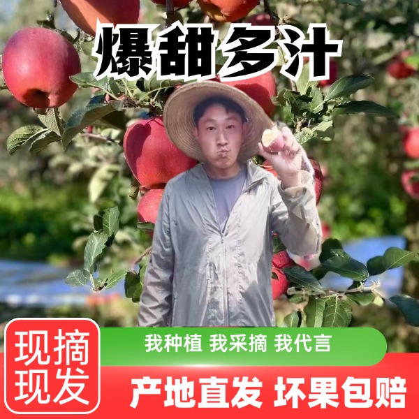 昭通高原丑苹果2001珍珠小果新鲜采摘现摘现发自然成熟爽口好吃
