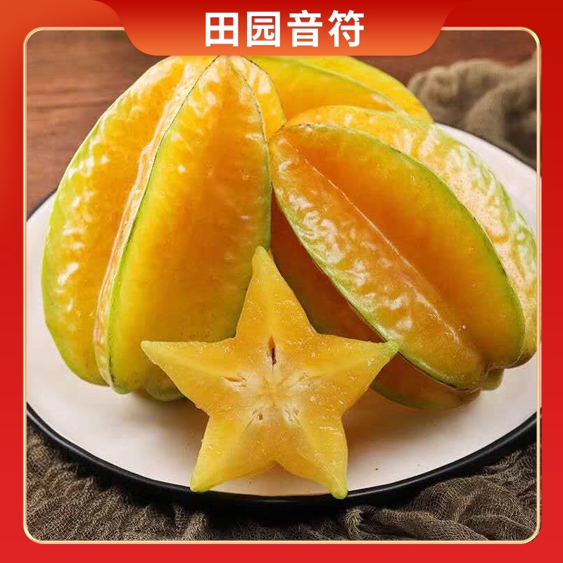 【田园音符】福建漳州下河杨桃3斤/4.5斤装  单果150g起