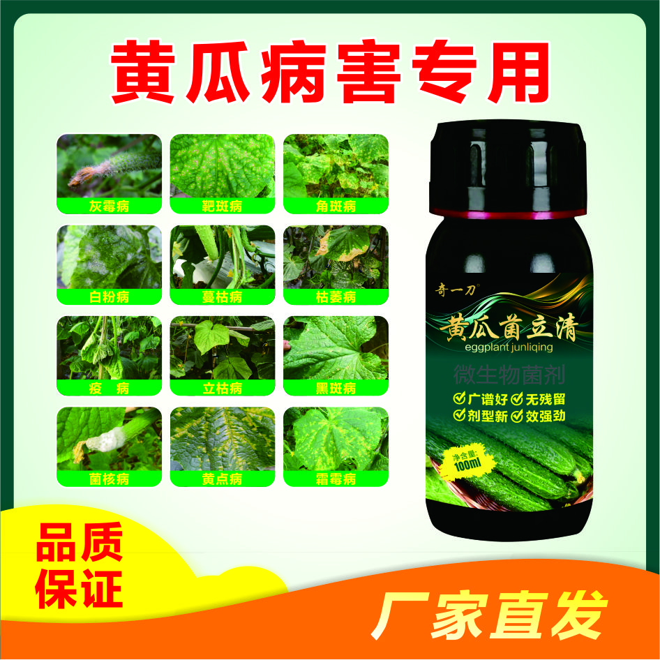奇一刀黄瓜菌立清微生物菌剂旱弯尖嘴黄瓜丝瓜类3壶
