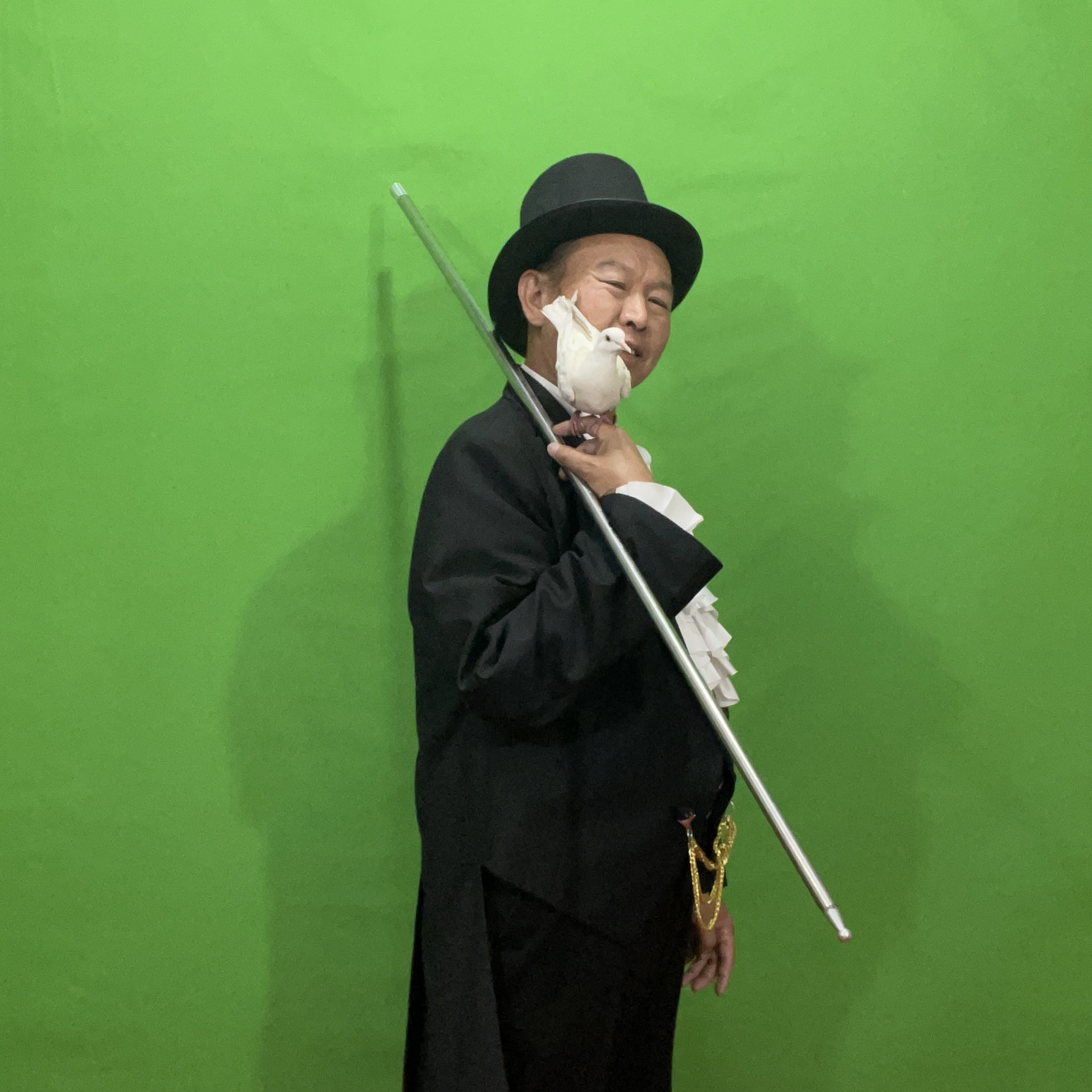 变鸽子魔术道具鸽衣鸽袋定型鸽线微型固线器新门子新方法晚会商演