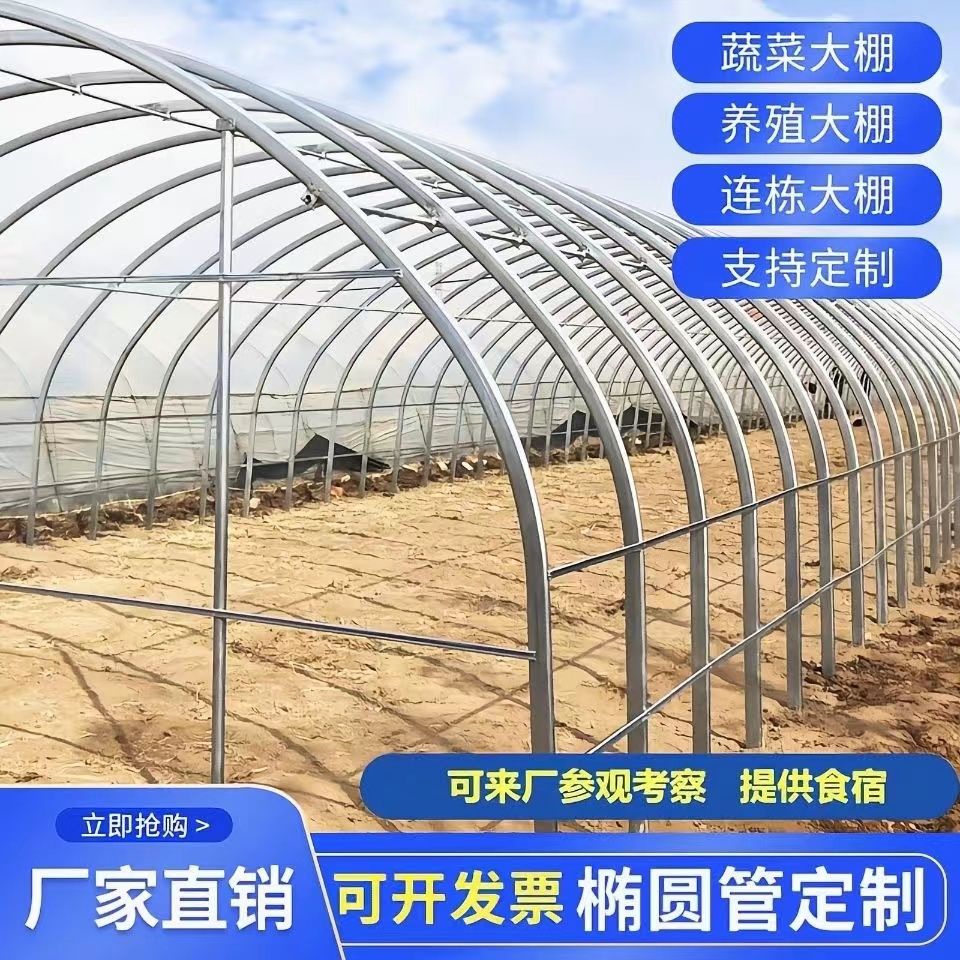 大棚拱棚骨架全套种植支架蔬菜养殖温室冷棚暖棚连体棚椭圆管钢架